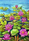 Water Lilies - silvia diana - Watercolor - 200€