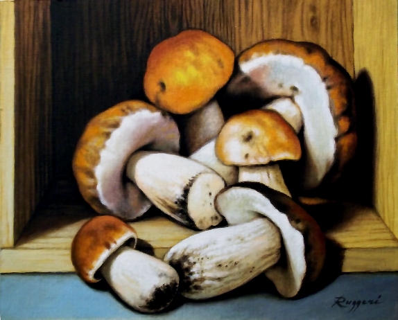 Funghi porcini - Salvatore Ruggeri - Olio