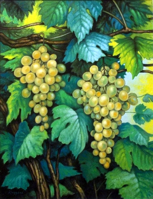 Grappoli d'uva pendenti - Salvatore Ruggeri - Olio