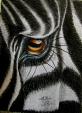 Zebra - anna casu - Carboncino