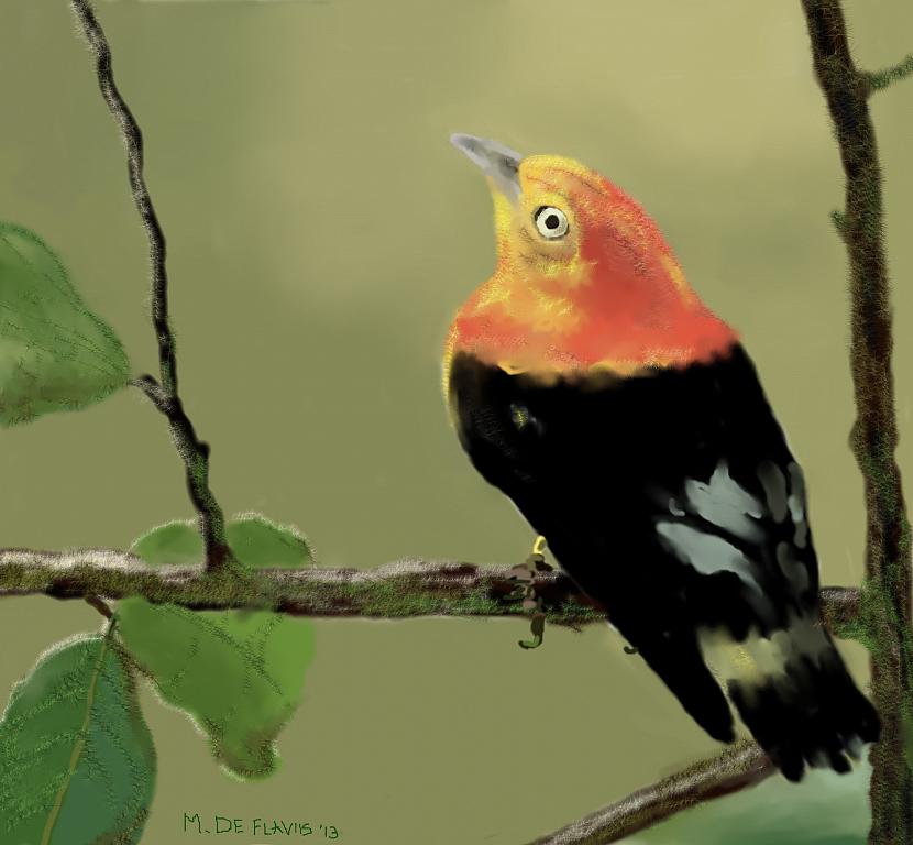 L'uccellino canterino - Michele De Flaviis - Digital Art