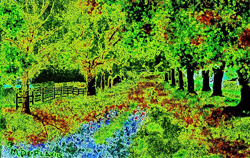 I colori dell'autunno - Michele De Flaviis - Digital Art