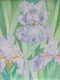 Iris - Daniela Lecchi - Watercolor - 450€