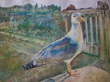 Uccello gabbiano ai Fori Imperiali, Roma  - Ruzanna Scaglione Khalatyan - Acquerello - 65€