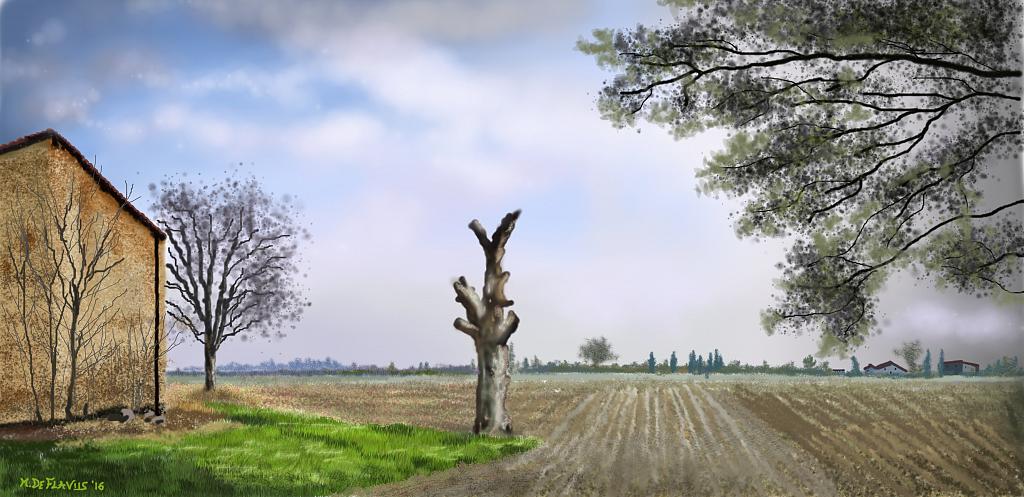 Vecchio tronco - Michele De Flaviis - Digital Art
