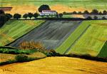 Paesaggio rurale - Michele De Flaviis - Digital Art