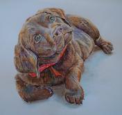 labrador puppy - Ruzanna Scaglione Khalatyan - Pastels - 75€