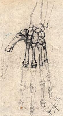 disegni anatomici -la mano- - daniele Rallo  - matita - 30 €