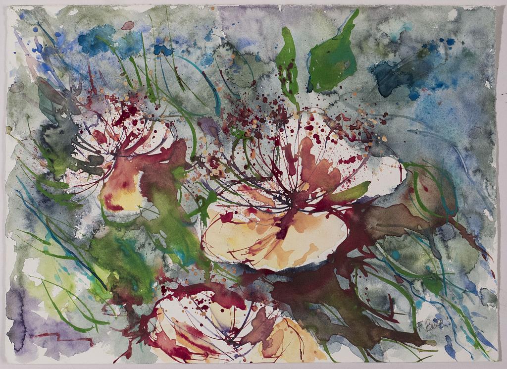 fiori di cappero - fiorella betti - Acquerello - 180 €