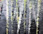 New England Birch trees Reflection - Daniela Pasqualini - Acrilico - Venduto!