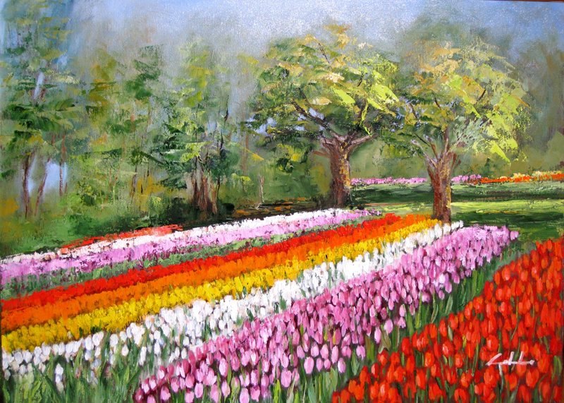 L'arcobaleno negli occhi, tulipani in Olanda Prezzo speciale  - Carla Colombo - Olio - 220 €