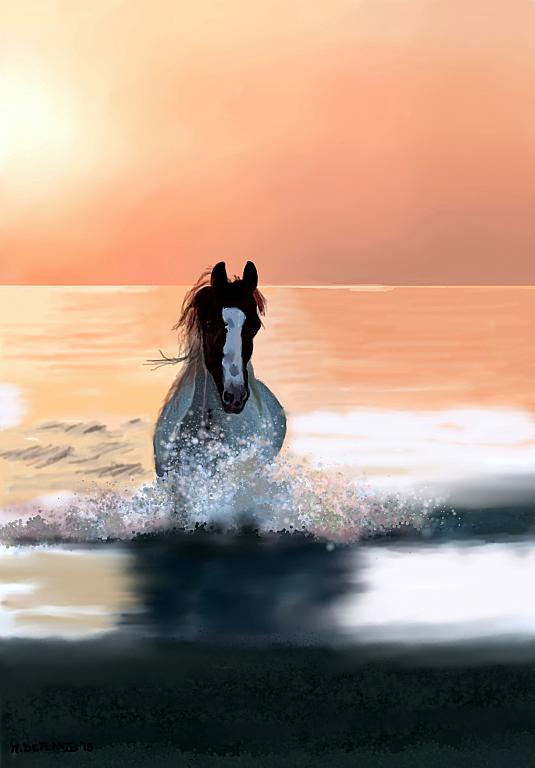 Cavallo selvatico - Michele De Flaviis - Digital Art - 100 €