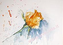 yellow bud for you - Carla Colombo - Watercolor - €