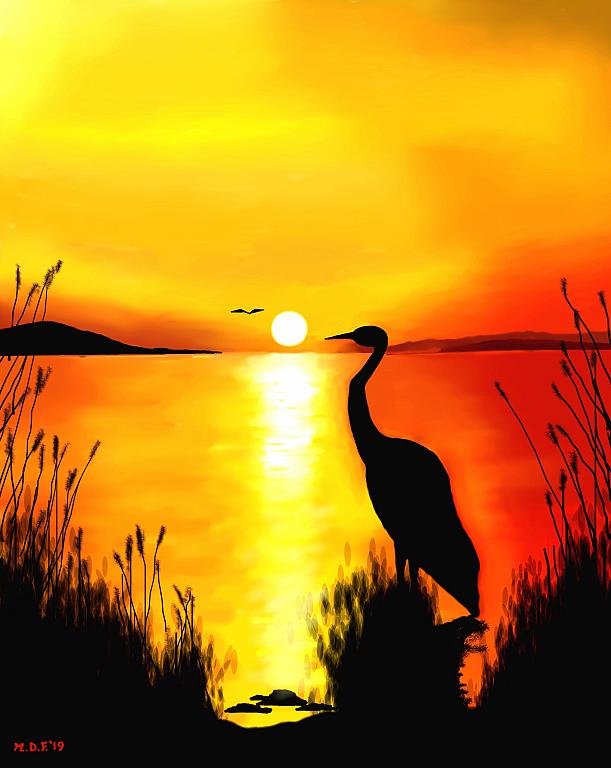 La cicogna al tramonto - Michele De Flaviis - Digital Art - 70 €