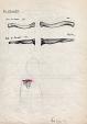 studi  anatomici - la clavicola- - daniele Rallo  - Pastelli - 50€