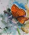 Farfalla - anna casu - Watercolor - 150 €