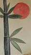 Bambù sole rosso - Giuseppe IARIA - Acquerello