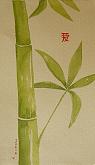 Bamboo love - Giuseppe Iaria - Watercolor - 20€