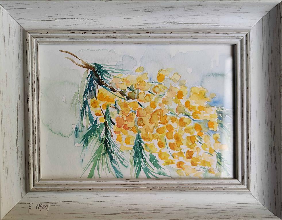  Giallo mimosa  PREZZO SPECIALE   - Carla Colombo - Acquerello - 27 €