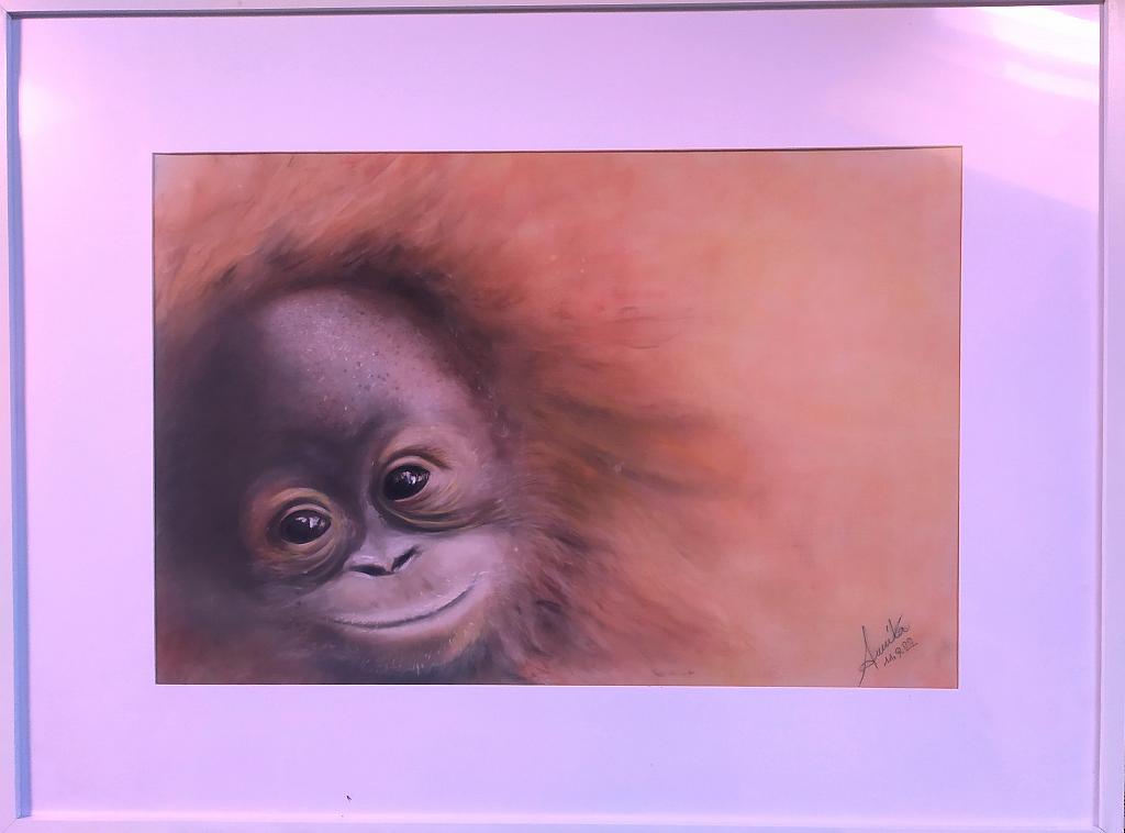 Piccolo orango - anna casu - Charcoal - 200 €