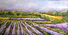  Lavender in Provence - Carla Colombo - Oil - 230€