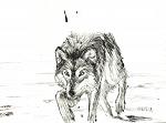 Wolf Mother - Lucio Forte - Indian ink on paper - 70 euro